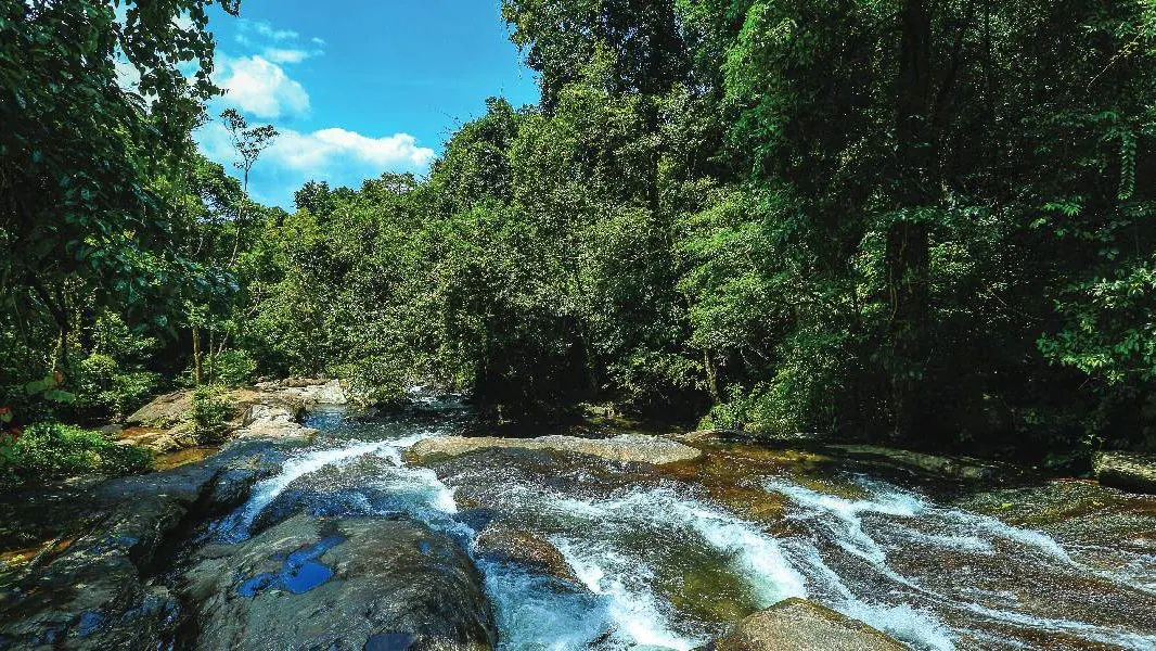 Engapuzha